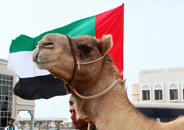 1.1111568-3697885778