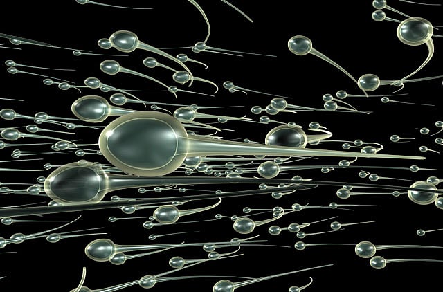 1.1097617-2230656428