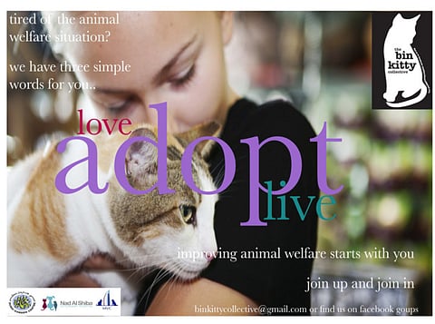 Adopt, Foster, Neuter