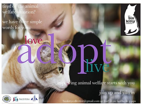 Adopt, Foster, Neuter