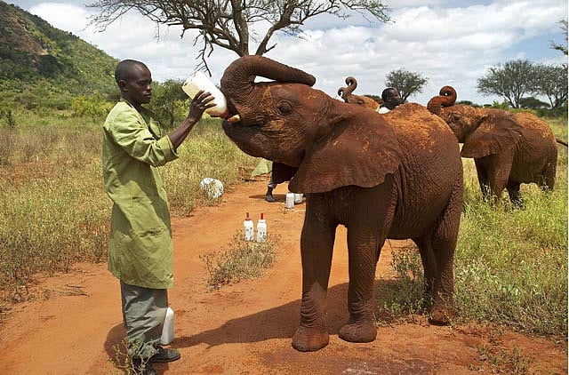 1.1100546-1590819293