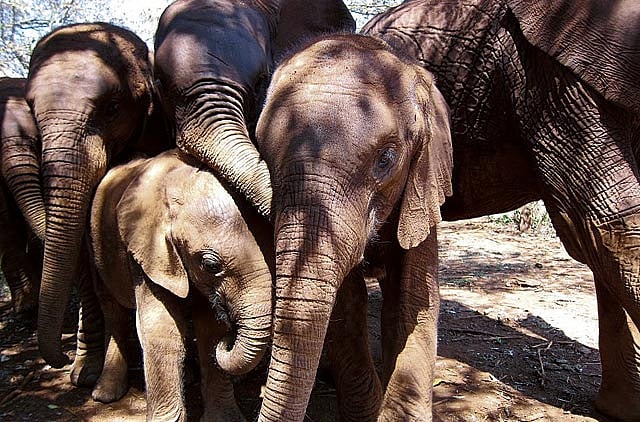 1.1100649-2519824045