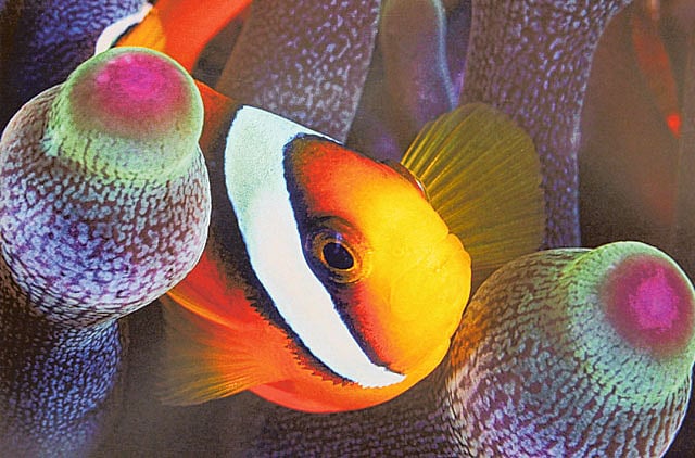 1.1102210-4213263223