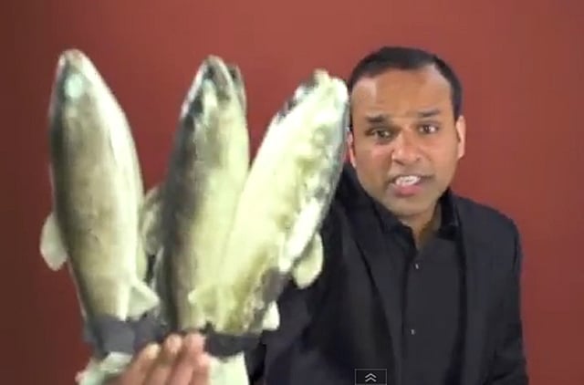 1.1118854-2956470134