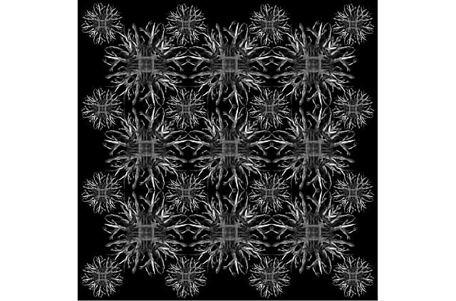 1.1121416-668866048