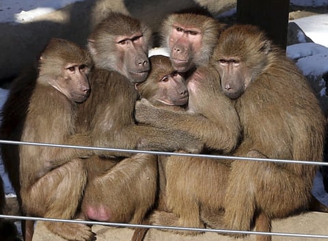 To hug or not to? When in doubt, don’t!