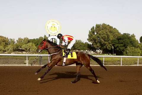 Zarina Fernandes/ Gulfnews