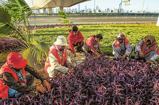 1.1125606-3400152980