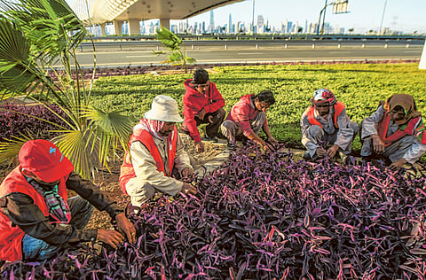 Ahmed Ramzan/Gulf News