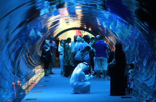 1.1370698-3727687112