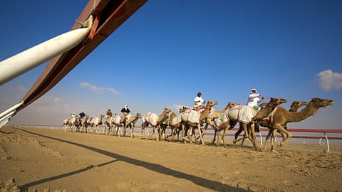 Travel News