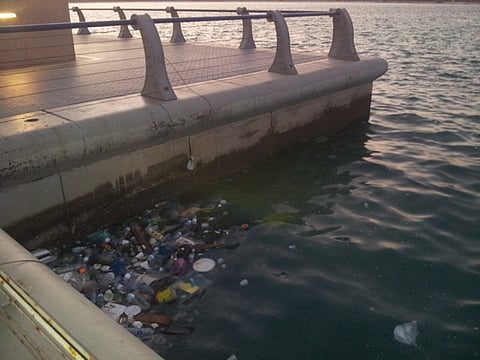 Litter destroys beauty of the Abu Dhabi Corniche