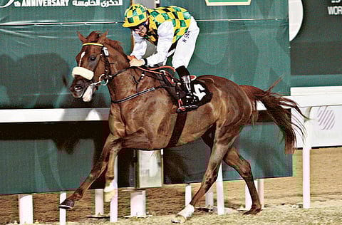 Ahmed Kutty/Gulf News