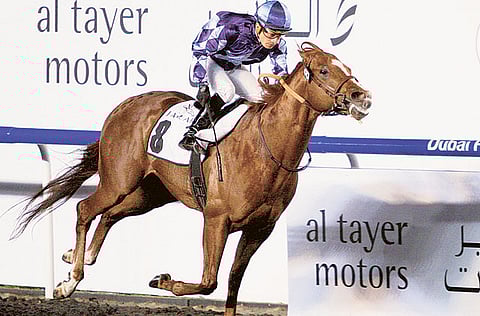 Francois Nel /Gulf News