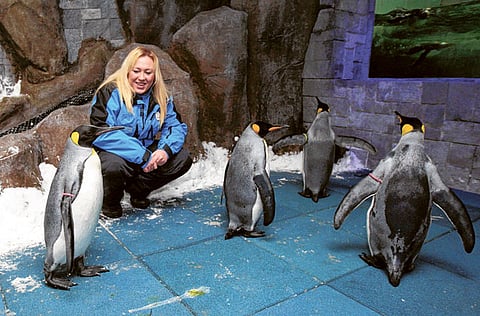 Pankaj Sharma /Gulf News