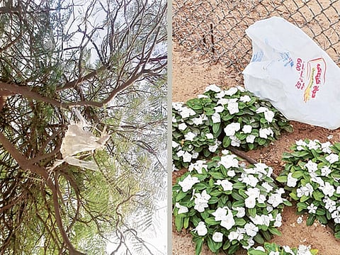 Firdos A. Poonawala/Gulf News Reader