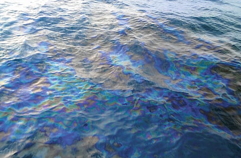 Courtesy: Umm Al Quwain Port