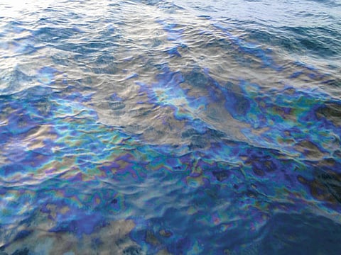 Courtesy: Umm Al Quwain Port