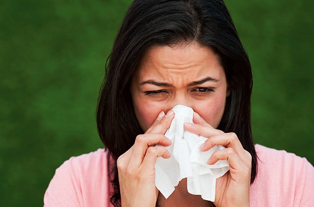 1.1614040-2857348917