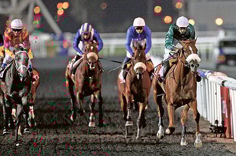 The Super Saturday has, over the years, been designed in a way to replicate the conditions of the Dubai World Cup night.