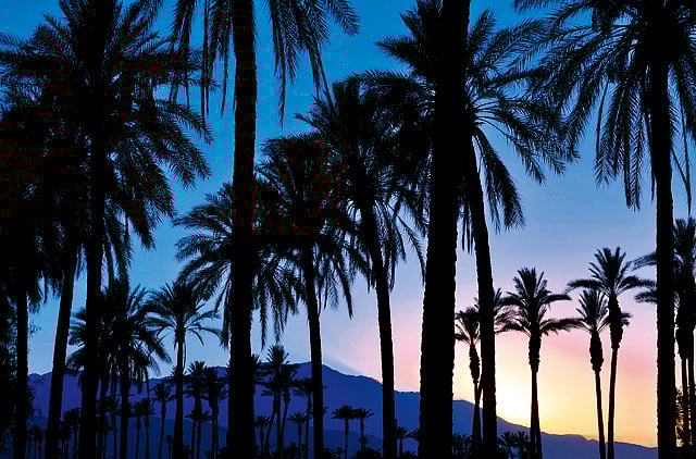 1.1587494-2788005716