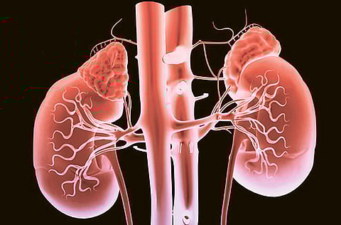 An agreement between Seha and the AKPD will see the organisations working closely to build a paired kidney donation programme in the UAE.