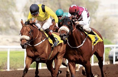 Francois Nel/Gulf News