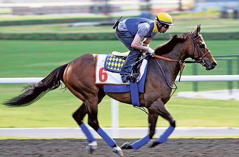 Virendra Saklani/Gulf News