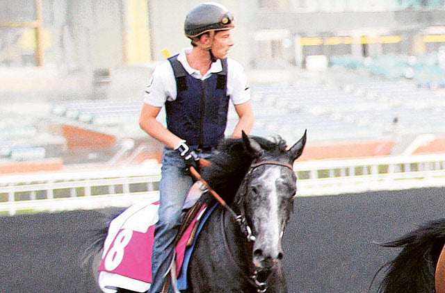 1.1000096-2661874198