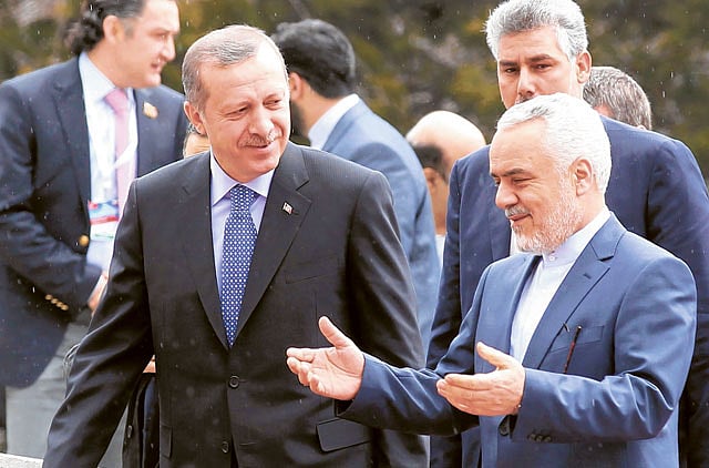 1.1001135-1763096633