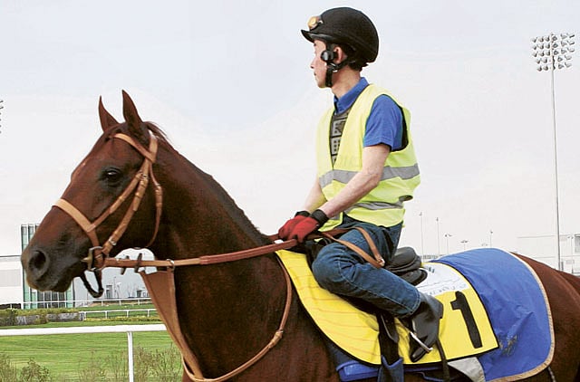 1.1001629-3528273420