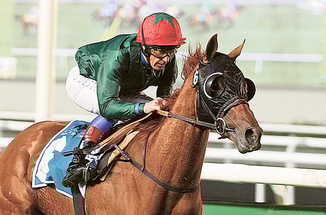 1.1001982-3053372686