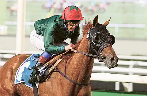 Francois Nel /Gulf News 