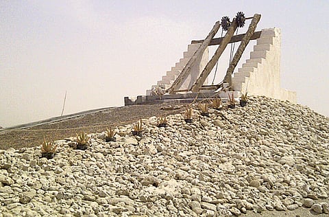 Courtesy: Emirates Marine Environmental Group