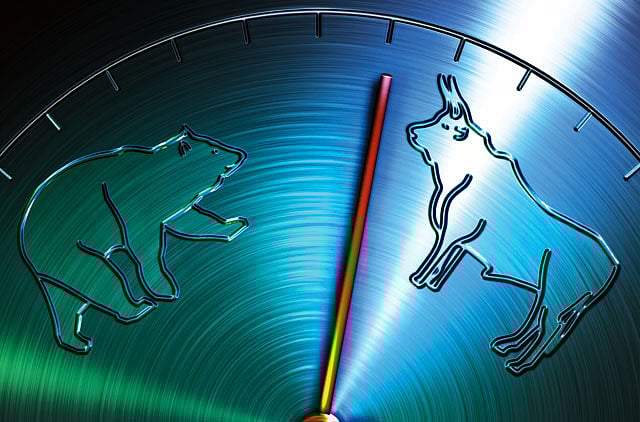 1.1011910-2300641637