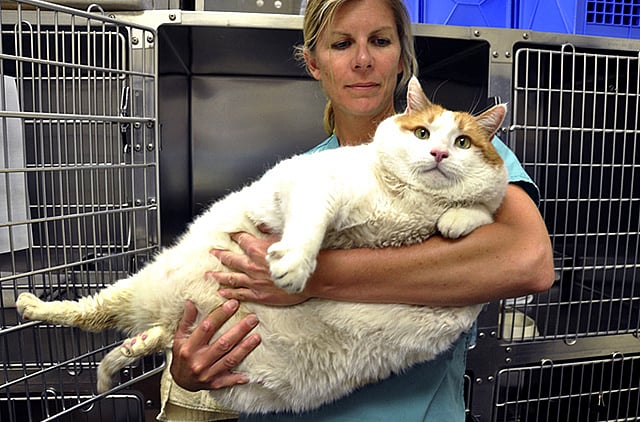 1.1012049-2921312505