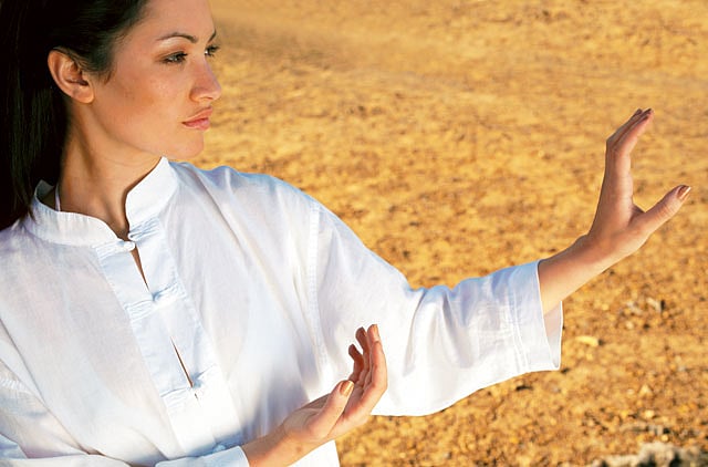 1.1013561-2612569317