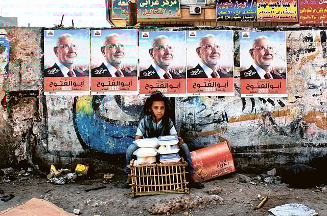 1.1014242-1906402346