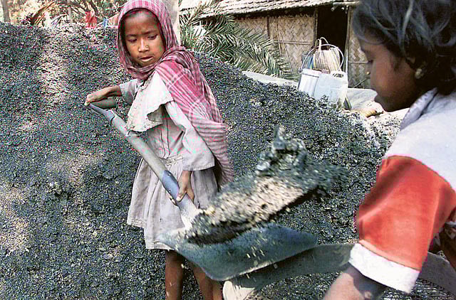 1.1014624-3792476367