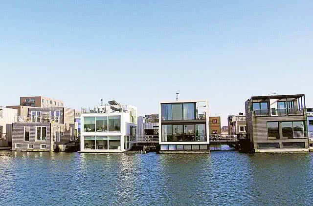 1.1003871-3782635911