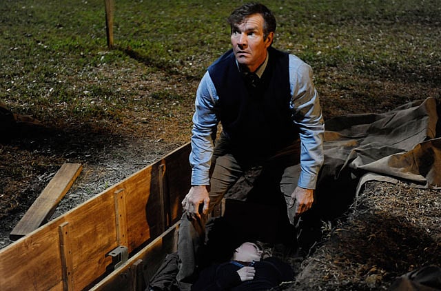 1.1003464-2611617902