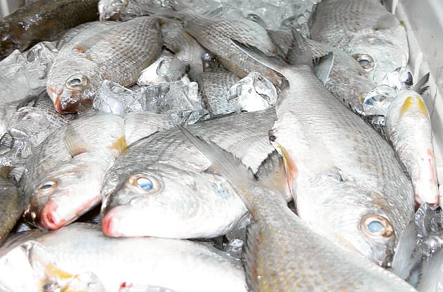 1.1004805-3284686337