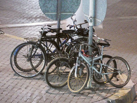 Shajitha Shifa/Gulf News Reader