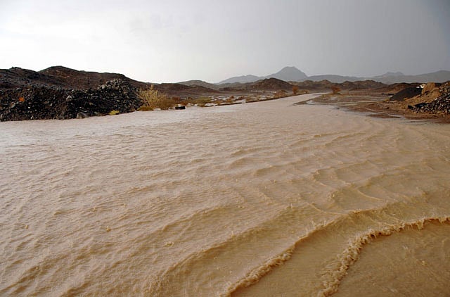 1.1021376-4167148024