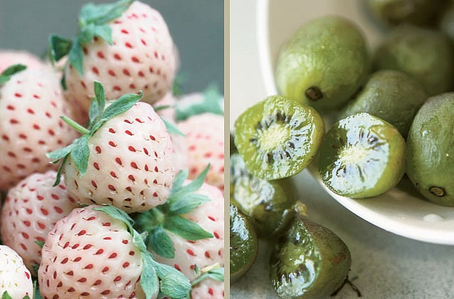 1.1024097-3179031778