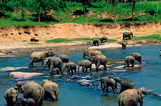 1.1025168-1244567356