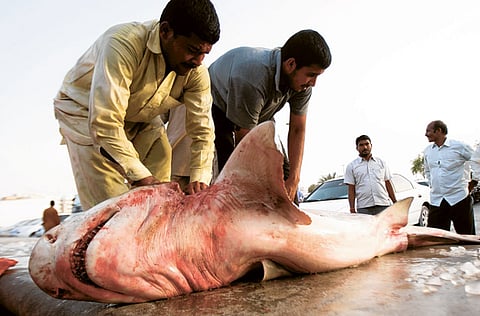 Ahmed Ramzan/Gulf News