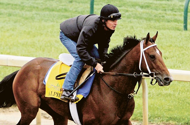 1.1018301-3631755358