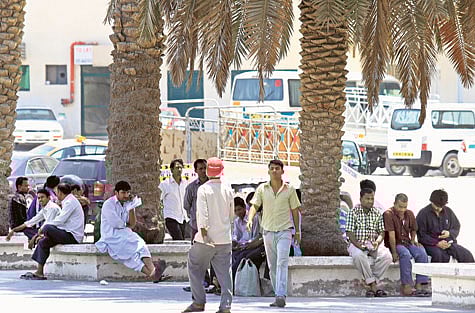 1.1018583-1081624767