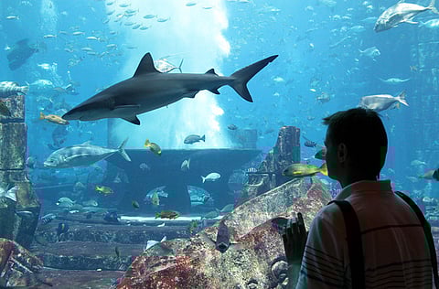 Francois Nel/Gulf News